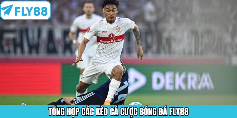 Kèo Châu Âu - Bí Quyết Chiến Thắng Cá Cược Từ Chuyên Gia 11 Một số loại kèo bóng đá phổ biến tại Fly88