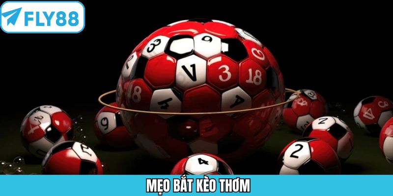 Mẹo Bắt Kèo Thơm - Giúp Tăng Tỷ Lệ Chiến Thắng Tại Fly88