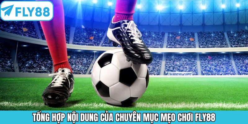 Bỏ túi 3+ mẹo chơi Fly88 trăm trận trăm thắng