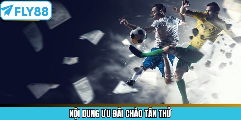 Chi tiết thông tin về chương trình chào mừng thành viên