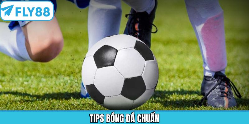 Tips Bóng Đá Chuẩn - Khám Phá Chiến Thuật Hữu Ích Cùng Fly88 7 Tips Bóng Đá Chuẩn - Khám Phá Chiến Thuật Hữu Ích Cùng Fly88