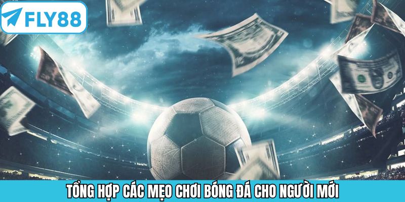 Bật mí mẹo chơi bóng đá cho người mới chuẩn cao thủ