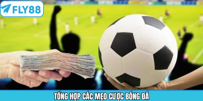 Khám phá những bí quyết cá độ bóng đá hiệu quả