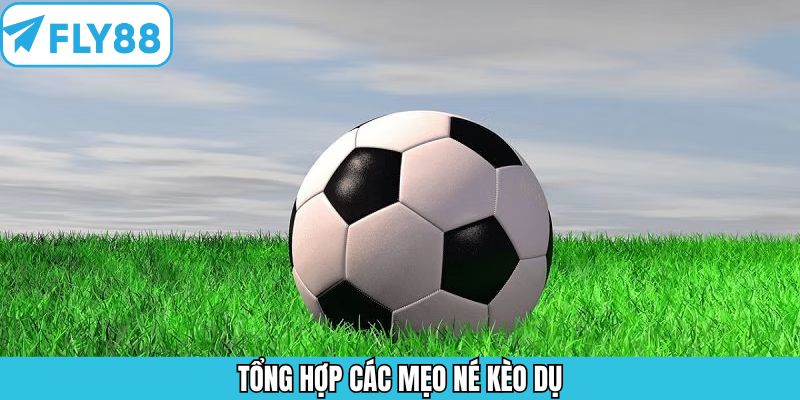 Hiểu Đúng Phong Độ Sân Khách Của Lazio Để Dự Đoán Chuẩn Fly88 9 Những mẹo né kèo dụ mà người chơi nhất định phải áp dụng