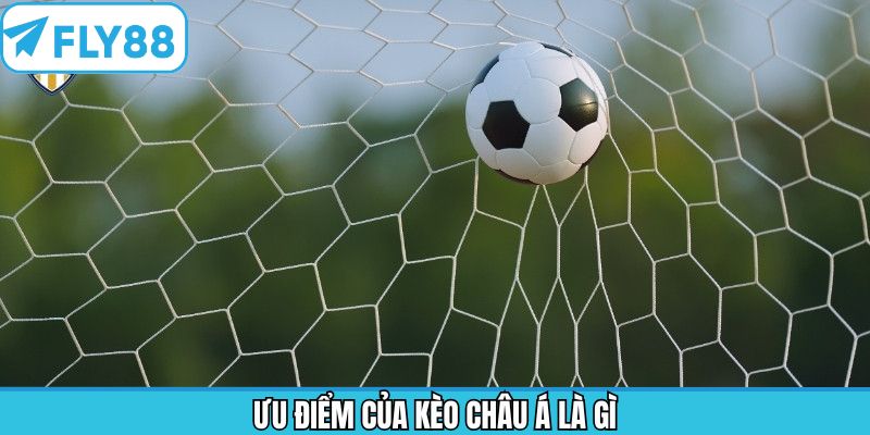 Phân Tích Bóng Đá - Giúp Bạn Nắm Bắt Lợi Thế Tại Fly88 9 Ưu điểm hấp dẫn khi lựa chọn kèo châu Á là gì