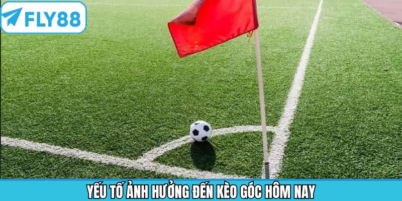 Tìm hiểu những yếu tố ảnh hưởng tới việc soi kèo