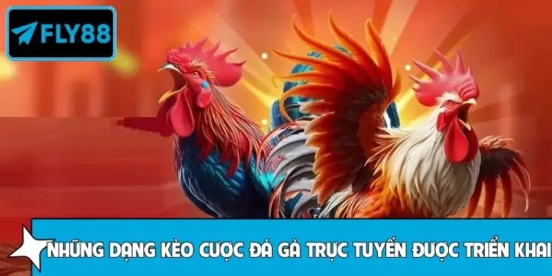 Các loại kèo cược đá gà trực tuyến tại FLY88