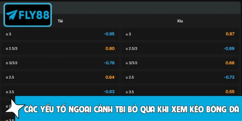 Hiểu Đúng Phong Độ Sân Khách Của Lazio Để Dự Đoán Chuẩn Fly88 6 Các yếu tố ngoại cảnh thường bị bỏ qua khi xem kèo bóng đá