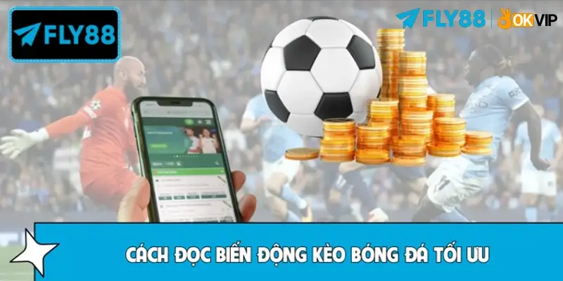 Cách đọc biến động kèo bóng đá hiệu quả từ chuyên gia Cách đọc biến động kèo bóng đá hiệu quả từ chuyên gia