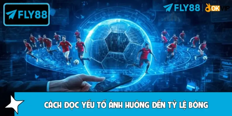 Cách nhìn ra yếu tố ảnh hưởng đến tỷ lệ bóng chính xác Cách nhìn ra yếu tố ảnh hưởng đến tỷ lệ bóng chính xác