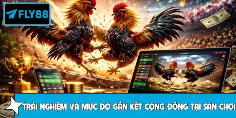 Đánh giá trải nghiệm người xem và cộng đồng đá gà tại FLY88 Đánh giá trải nghiệm người xem và cộng đồng đá gà tại FLY88