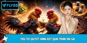 FLY88 Giải Thích Yếu Tố Quyết Định Kết Quả Trận Đá Gà