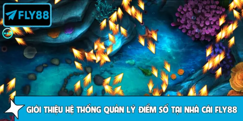 Giới thiệu về hệ thống quản lý điểm số tại nhà cái FLY88