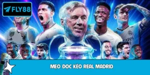 Mẹo Đọc Kèo Real Madrid Ở Các Trận Cầu Lớn Chuẩn Tay
