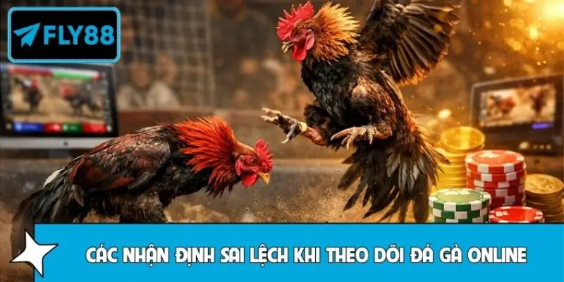 Những hiểu lầm phổ biến khi người chơi xem đá gà trực tuyến