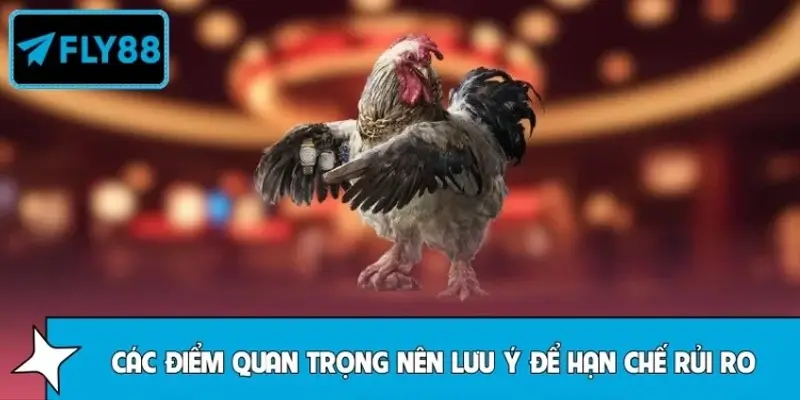 Những lưu ý cần tránh khi tham gia chơi đá gà trực tuyến