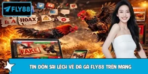 Những Tin Đồn Sai Lệch Về Đá Gà FLY88 Trên Mạng Cần Làm Rõ