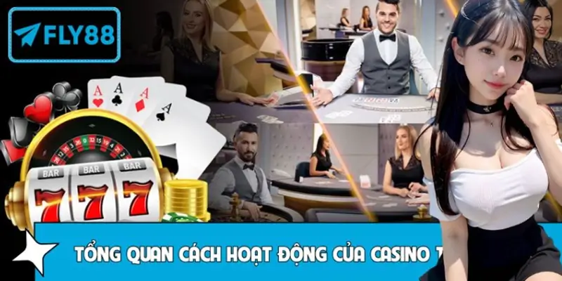 Tổng quan cách hoạt động của casino trực tuyến Tổng quan cách hoạt động của casino trực tuyến