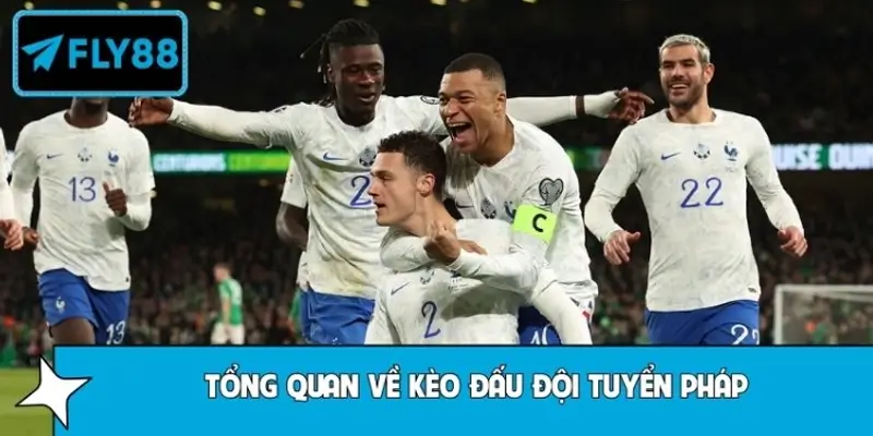 Tổng quan về kèo đấu đội tuyển Pháp Tổng quan về kèo đấu đội tuyển Pháp