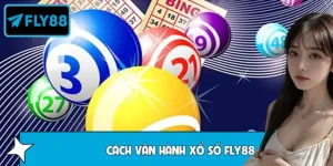 Vì Sao Nhiều Người Hiểu Sai Cách Vận Hành Xổ Số FLY88