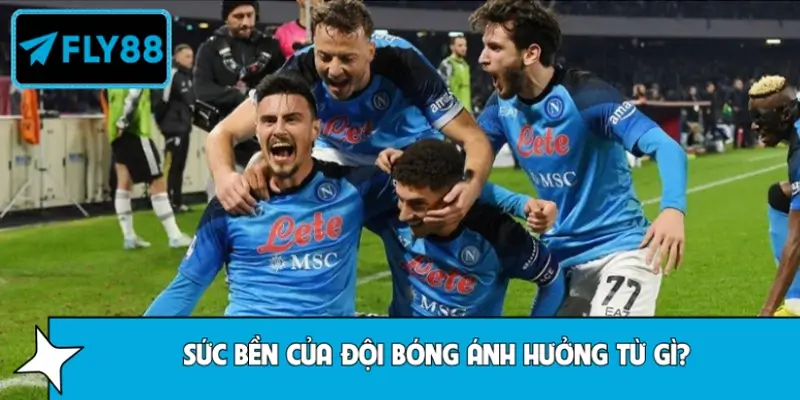 Yếu tố quan trọng ảnh hưởng đến sức bền Napoli