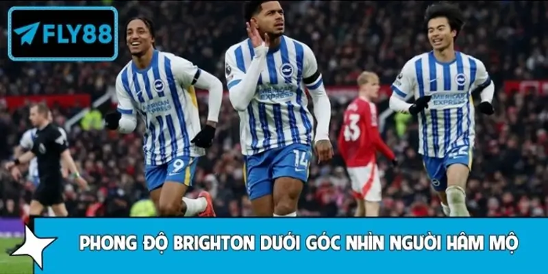 Phong độ thất thường của Brighton dưới góc nhìn người hâm mộ