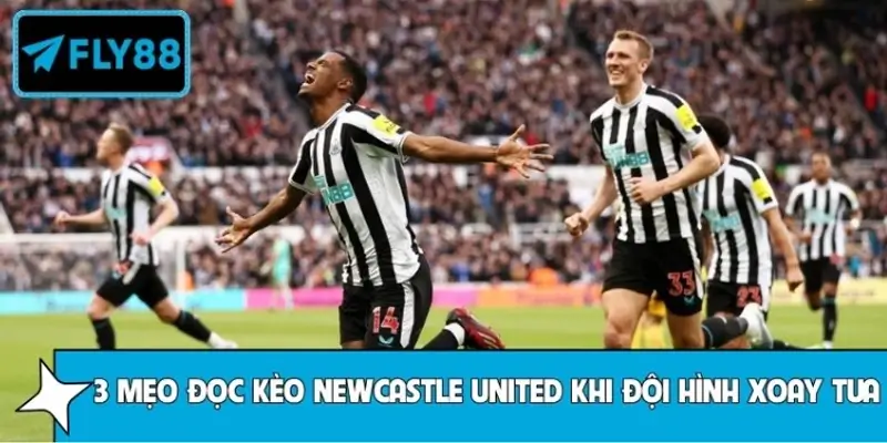 Hiểu Đúng Phong Độ Sân Khách Của Lazio Để Dự Đoán Chuẩn Fly88 6 Top 3 mẹo đọc kèo Newcastle United khi đội hình xoay tua